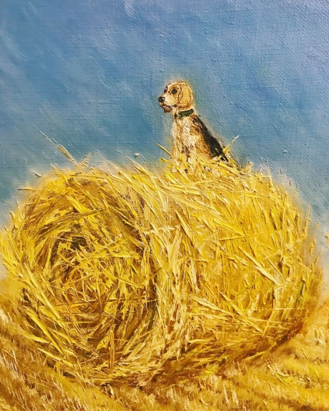 Create meme: haystack, The dog painting, golden retriever