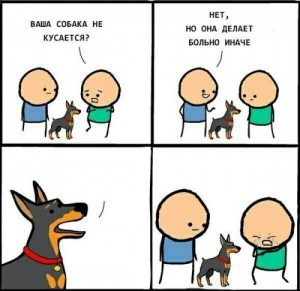 Create meme: comics memes, does your dog bite, your dog did not bite