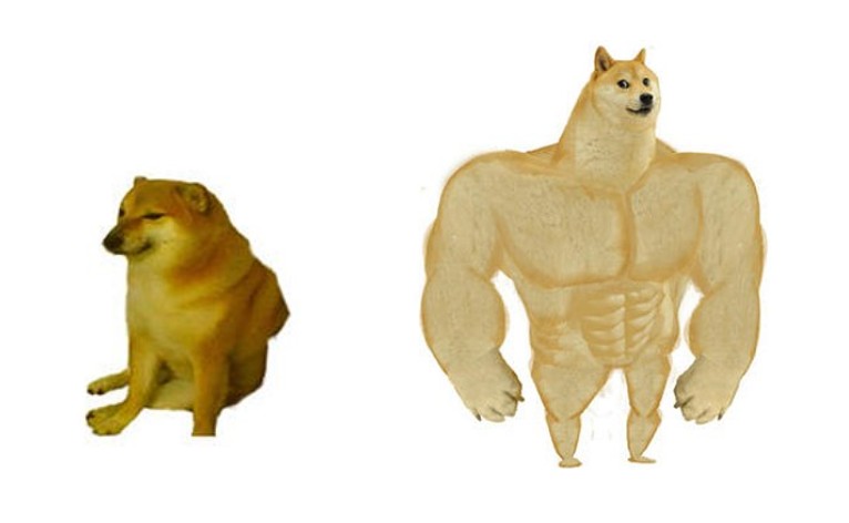 Create meme: meme the jock dog, meme with the dog shiba inu jock, the pumped-up dog from memes