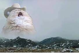 Create meme: the cat shouts in the mountains, the cat in the hat meme, screaming cat 