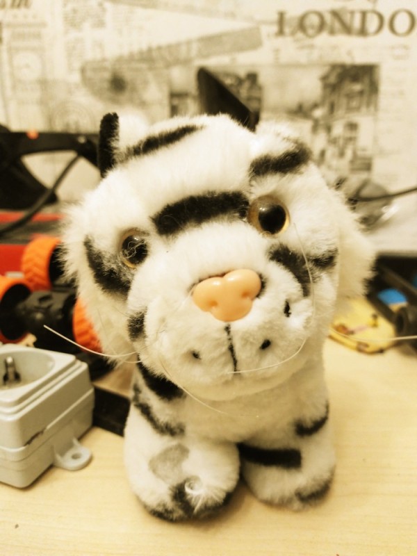 Create meme: soft toy tiger, toy tiger, plush toy cat