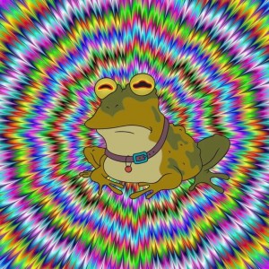 Создать мем: жаба гипнотизер, гипножаба футурама, лягушка на радужном фоне