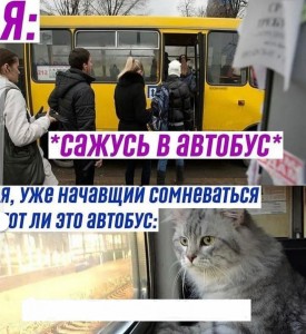 Create meme: people, people, bus