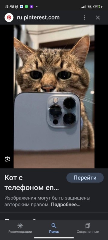 Создать мем: кот с айфоном в зеркале, кот с телефоном, кот с айфоном прикол