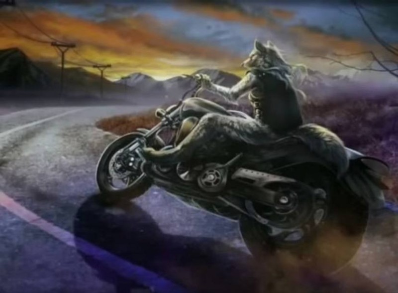 Создать мем: ну погоди волк на мотоцикле, байкеры ночные волки, байк арт
