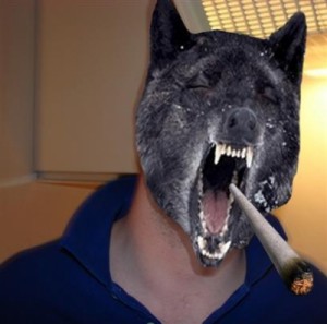 Create meme: wolf, insanity wolf, GOOD WOLF GREG