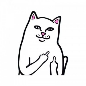 Create meme: white cat, cat FAQs PNG, rip n dip