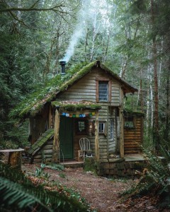 Создать мем: домик ведьмы в лесу, лесной домик, сказочный домик в лесу