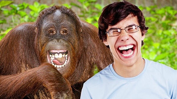 Create meme: smiling monkey, funny monkey , the monkey laughs