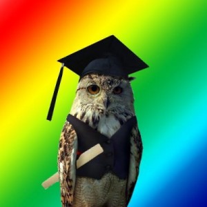 Create meme: what where when, students, owl