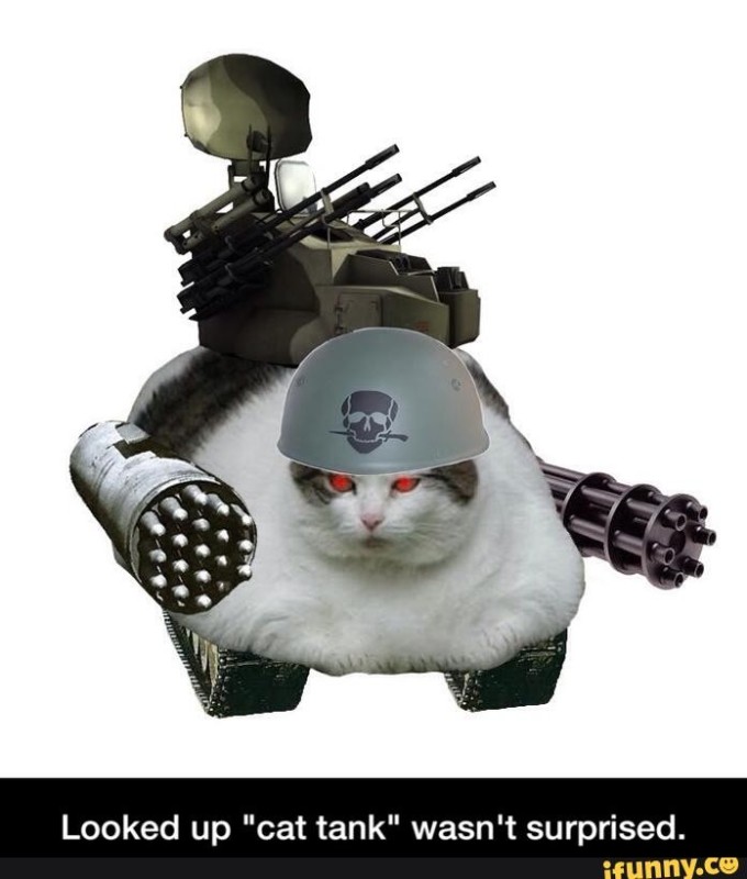 Create meme: cat tanksit, Yegor Letov , cats 