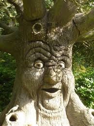 Создать мем: говорящее дерево эфтелинг, сказочные деревья, дерево сказочное с глазами