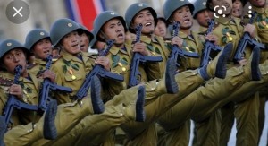 Создать мем: южная корея армия, корейская народная армия, страны которые могут исчезнуть через 20 лет