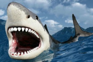Создать мем: great white shark, акула мегалодон фото, megalodon shark