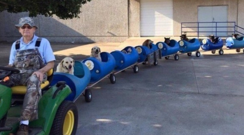Создать мем: уличные собаки, собака паровоз, roller dog