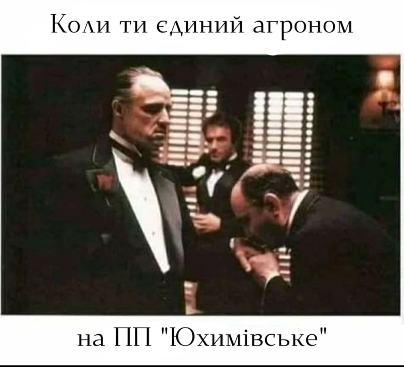 Create meme: don carleone and sugar, don Corleone meme , mafia great meeting movie