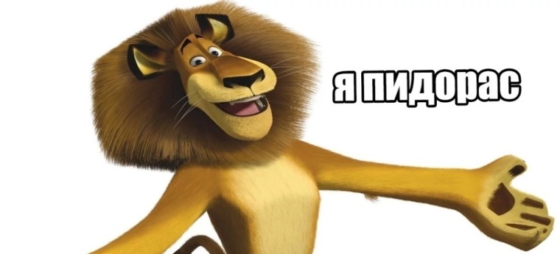 Create meme: Madagascar meme, the lion from the cartoon madagascar, lion from Madagascar