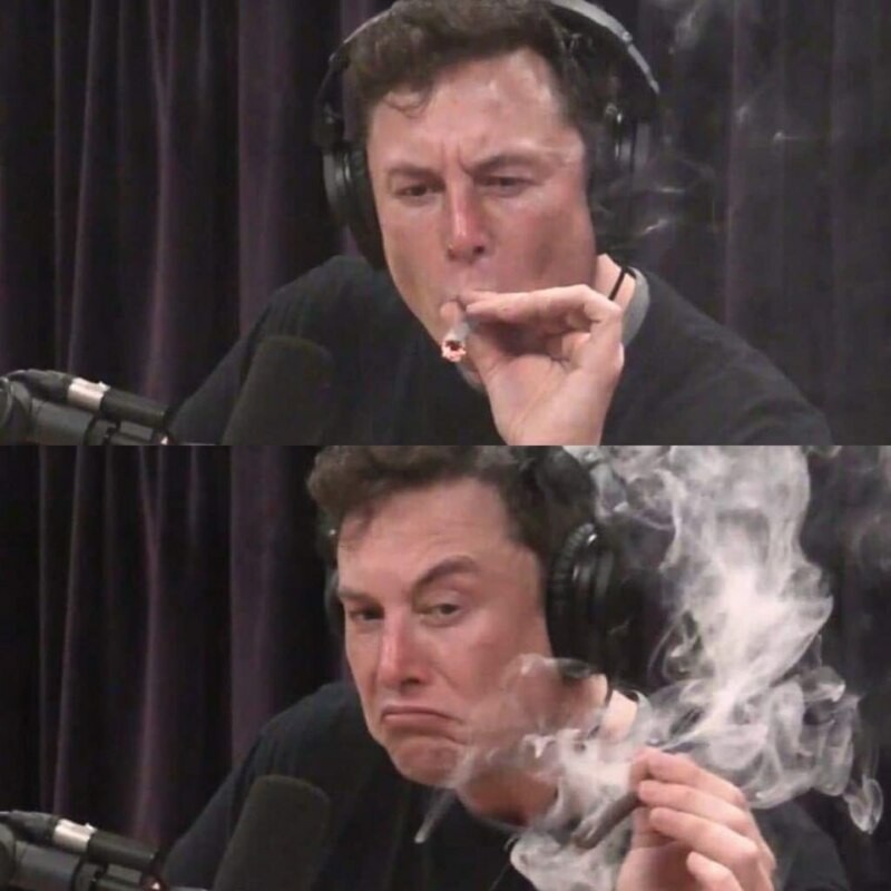 Create meme: telegram channel, Elon musk smokes live, elon musk