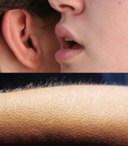 Create meme: goose bumps , the man whispers in his ear, goosebumps