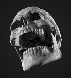 Создать мем: череп кости, череп челюсть, человеческий череп