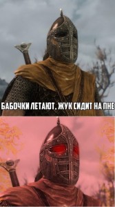 Создать мем: скайрим мемы, the elder scrolls v: skyrim, мем скайрим прострелили колено