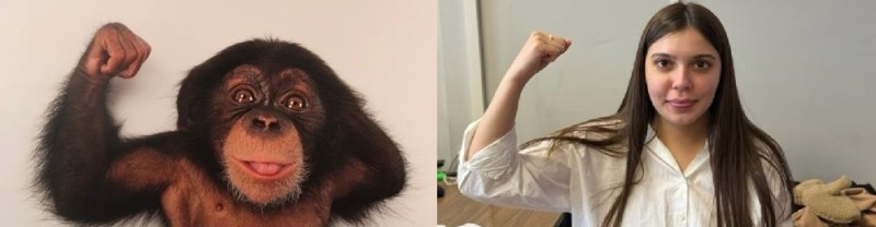 Создать мем: животные обезьяна, умная обезьяна, шимпанзе