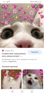Create meme: cute cats, cute cats with hearts