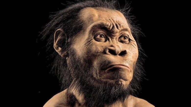 Создать мем: древние люди, австралопитек и неандерталец, гоминиды