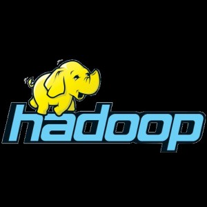 Create meme: hadoop mapreduce logo, hadoop logo transparent background, hadoop logo