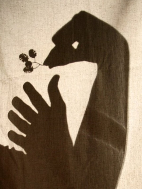 Create meme: beak , the beak of a goose, the theatre of shadows