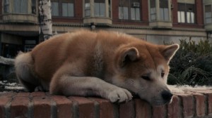 Create meme: Akita inu Hachiko