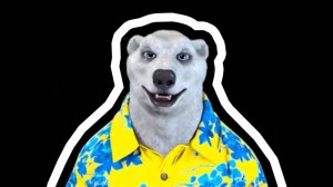 Create meme: polar bear, polar bear meme