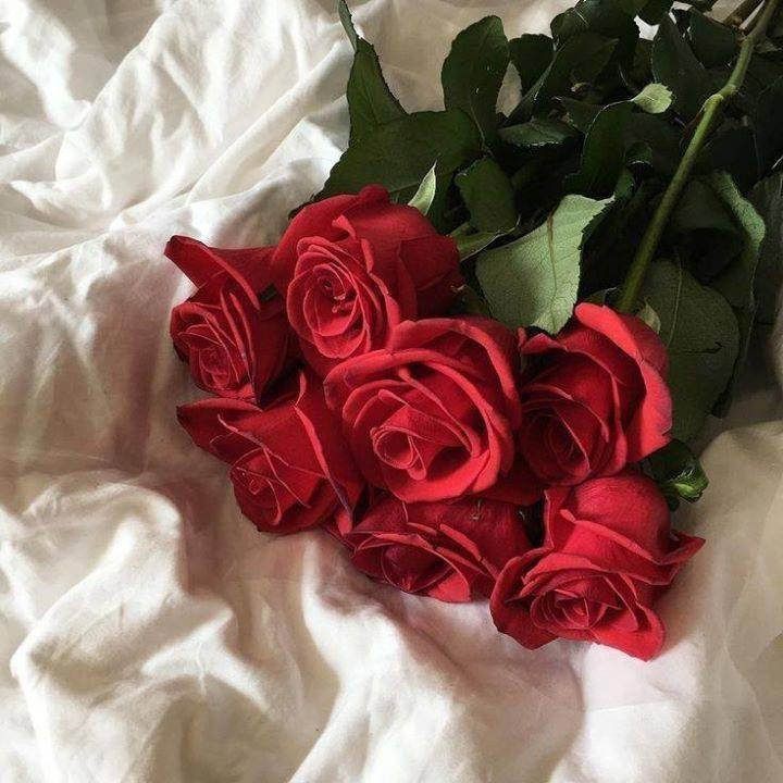 Создать мем: букет цветов красивый, розы на кровати, букет роз на кровати