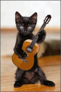 Создать мем: кот с гитарой картинки, кот играющий на гитаре, black cat guitars