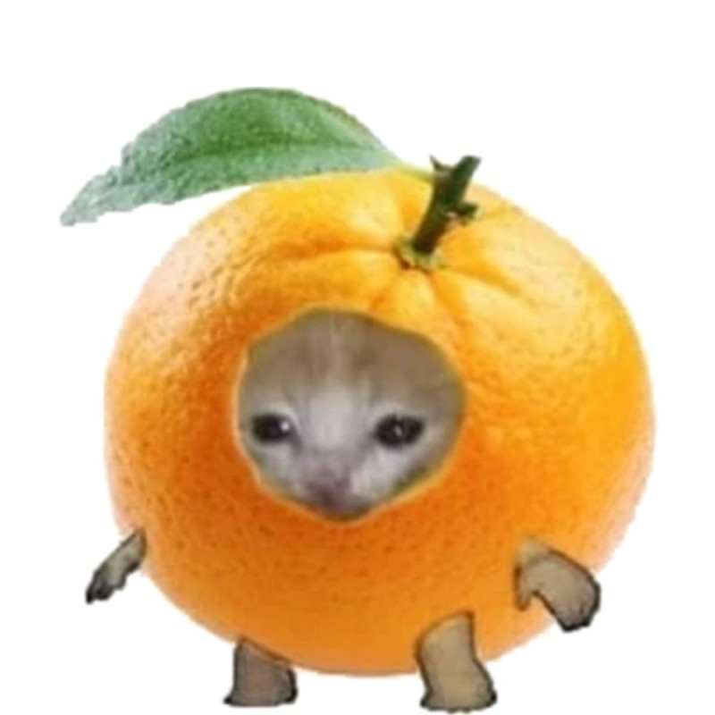 Создать мем: очищенный апельсин, животные милые, оранжевый апельсин