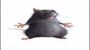 Create meme: oops your mother's Ratatouille, Ratatouille