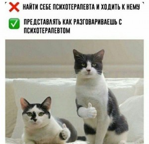 Создать мем: кот показывает лайк мем, мемы про котов, смешные кошки