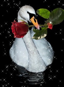 Создать мем: спасибо с лебедями, лебеди с розами, лебедь большой