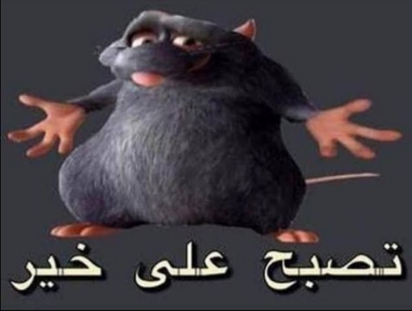 Create meme: rat Ratatouille meme, Ratatouille rat, The Arab rat