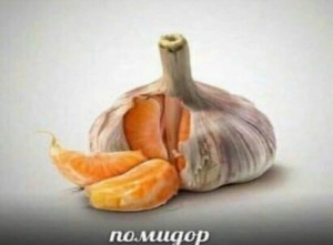 Create meme: onion, garlic, onions and garlic