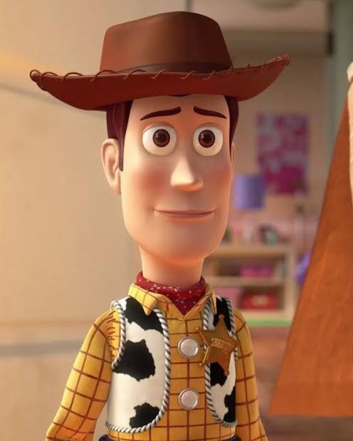 Create meme: woody from toy story, toy story characters, woody toy story