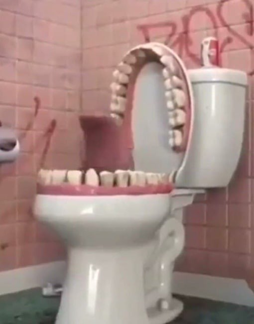 Создать мем: toilet, смешные штуки, зубной техник
