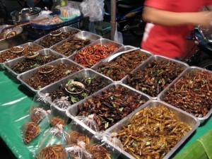 Create meme: bangkok, edible insects, Thai market insects