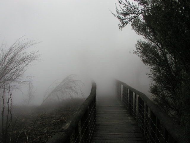 Создать мем: туман осень, любовь в тумане, темнота