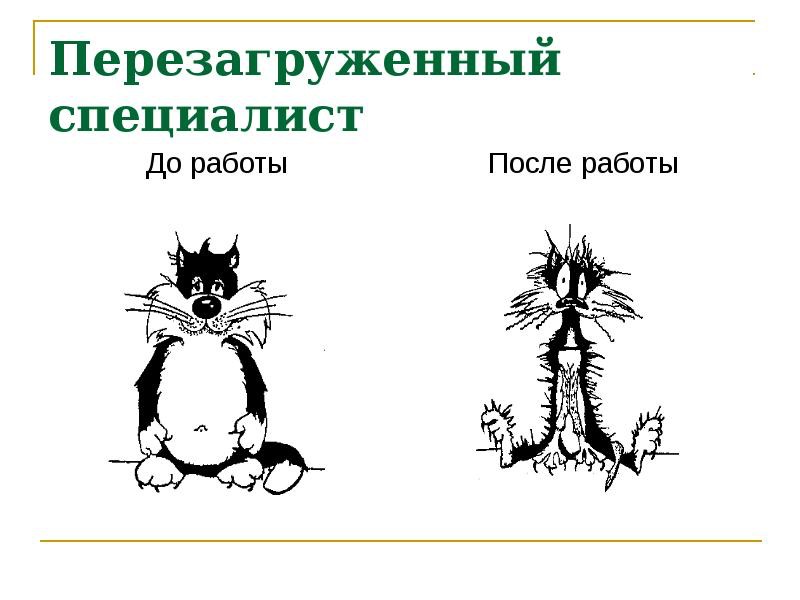 Create meme: before work after work, the cat before and after work, after work