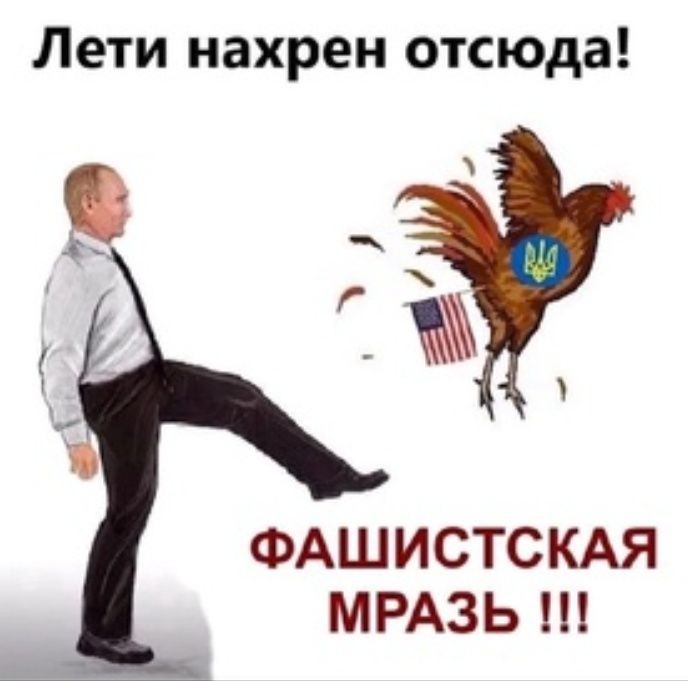 Create meme: a rooster in flight, fighting cock, bandera roosters