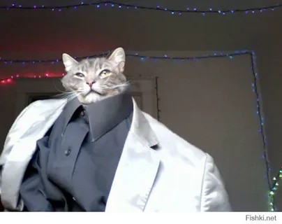 Создать мем: котенок в пиджаке мем, кот, деловой кот