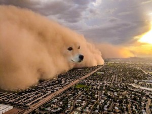 Create meme: dust storm