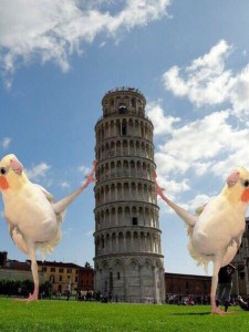 Create meme: pisa italy, Pisa in December which is better, leaning tower of pisa