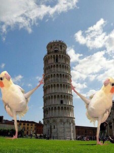 Создать мем: pisa italy, пиза в декабре что лучше, leaning tower of pisa